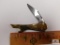 Gold Tone Nehi Knife