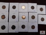 14 Indian Head Pennies