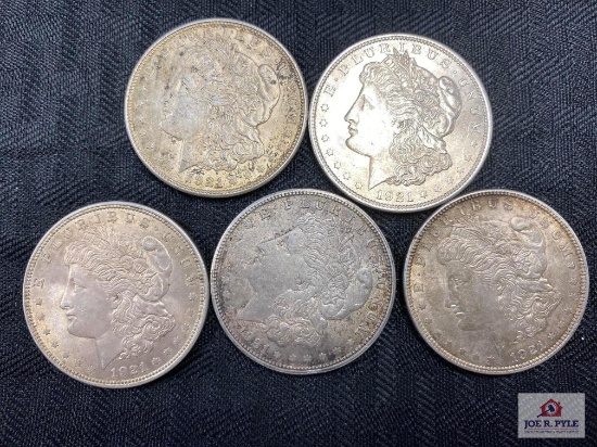 Lot of US Morgan Silver Dollars (various dates) 5 pcs