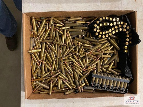 [SKU: 102005] lot of loose ammunition- some .223+other empty brass casings