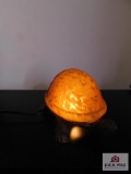 Lighted turtle lamp