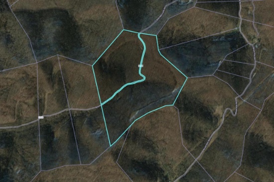 116+/- Acres with Mineral Interests &  Timber
