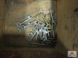 lot of 24 skeleton keys