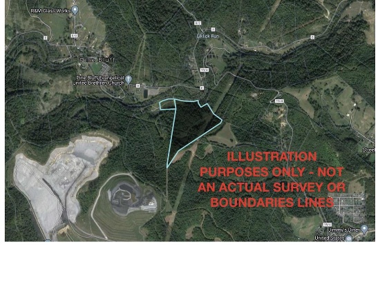 45.59+/- Acres Sold to the Highest Bidder