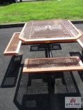 Picnic Table (You Must Unbolt From pavement)