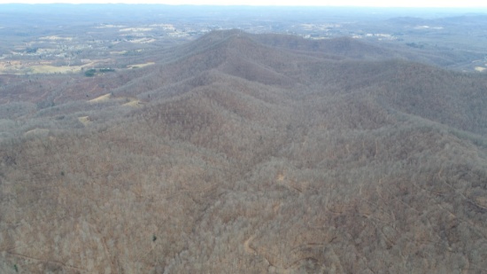 337 Acres Sold to the Highest Bidder