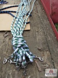 (10) New Horse Lead Ropes