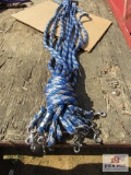 (10) New Horse Lead Ropes