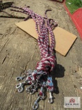 (10) New Horse Lead Ropes