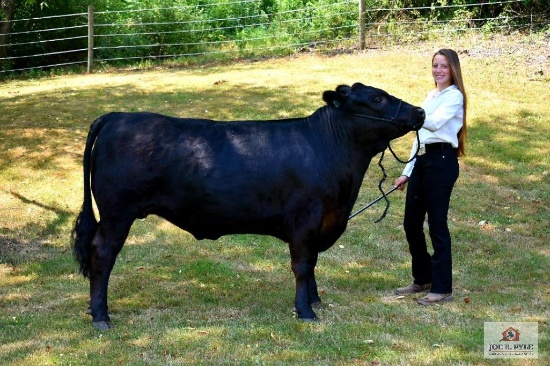 Market Steer / Sr / Tag: 352 [Jenna Ratke]