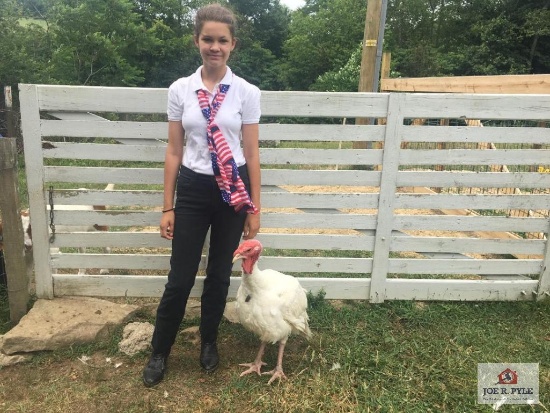 Market Turkey / JR / Tag: 392 [Josie Tanton]