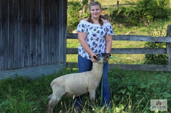 Market Lamb / JR / Tag: 373 [Chloe Sharpless]