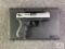 {310} Walther PK380 Nickel .380 ACP | SN: PK112092