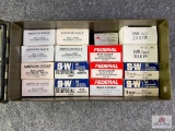 {155} Ammo can containing 9mm ammo (exact count unknown)