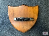 {119} 1983 Case XX CCC (