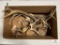 Flat of antlers