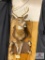 8-pt Whitetail Buck Mount w/Gun Racks