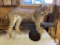Bobcat Mount