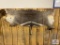 Water Buck remnant hide