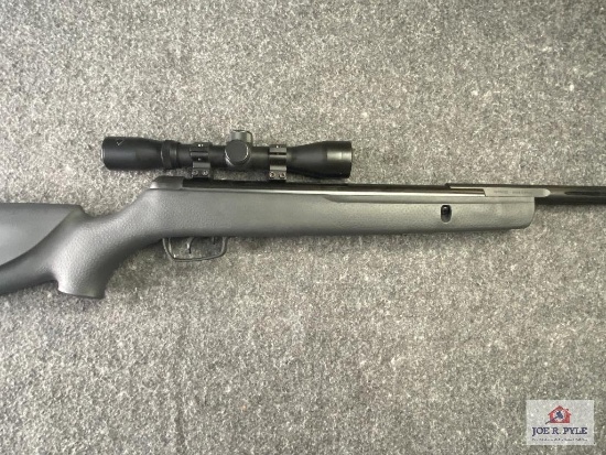 Gamo Big Cat 1200 .177 cal Pellet Rifle w/Scope