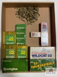 Flat of .22 Cal ammo