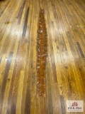 13' Anaconda snake skin