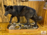 Black Wolf mount