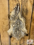Badger pelt