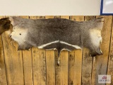 Water Buck remnant hide