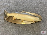 Lake Ontario Steelhead Mount