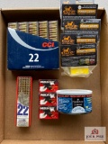 Ammo Lot: .22 LR (Mixed Lot)