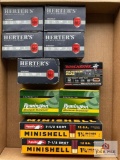 Ammo Lot: 12ga (Buckshot & Minishells)