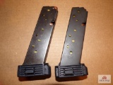 Flat of 2 clips and ammunition for HI-Point 45 caliber
