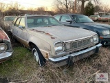 1978 AMC RAMBLER WAGON D/L