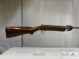 [707] Miscellaneous Air Rifle, .177 cal