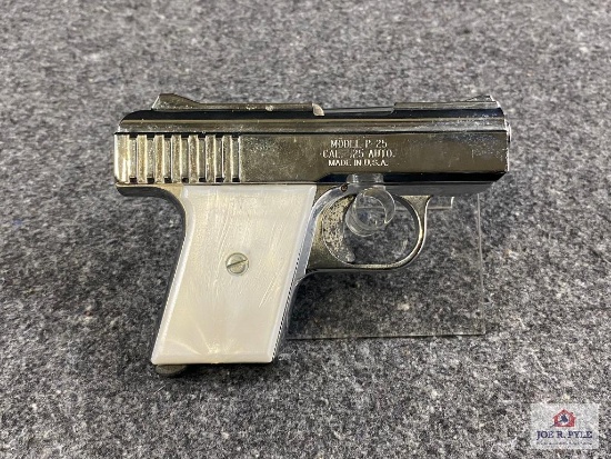 [310] Raven P-25 .25 ACP | SN: 045127