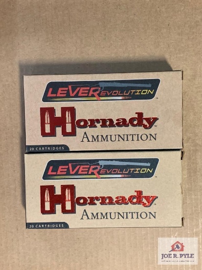 [641] Ammo Lot: .45-70 Govt