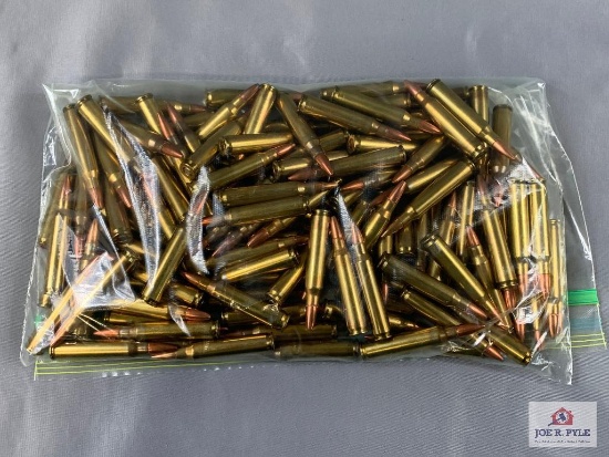 [27] Ammo Lot: .223 Rem