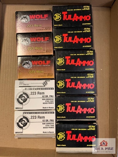 [28] Ammo Lot: .223 Rem