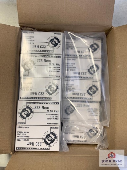 [29] Ammo Lot: .223 Rem