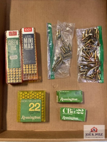 [9] Ammo Lot: .22 caliber