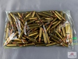 [27] Ammo Lot: .223 Rem