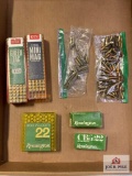 [9] Ammo Lot: .22 caliber