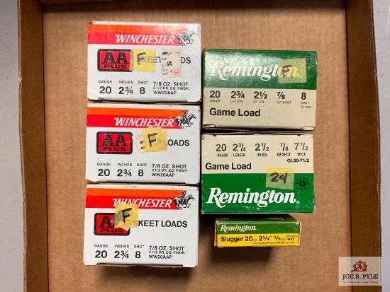 [66] Ammo Lot: 20ga
