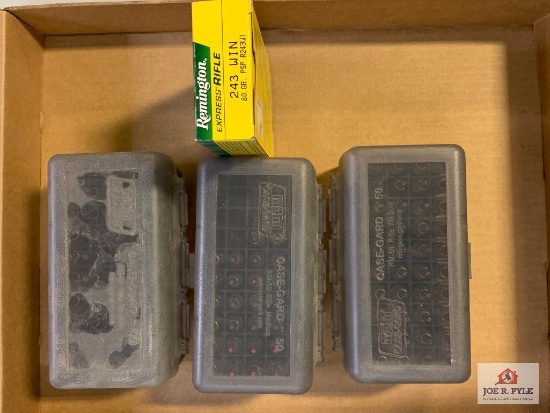 [35] Ammo Lot: .243 Win