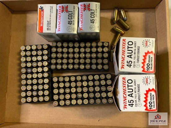[54] Ammo Lot: .45 ACP