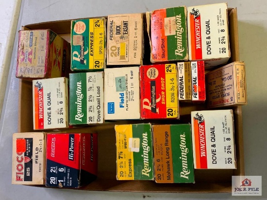 [67] Ammo Lot: 20ga