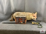 [532] FoxPro TX9 Remote game call, Coyote decoy, rifle rest/walking stick