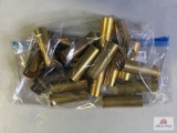 [305] Brass Shotshells: 12ga
