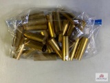 [306] Brass Shotshells: 12ga